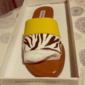 Steve Madden Alexandra Zebra Multi